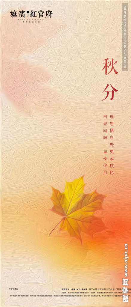 节气稿