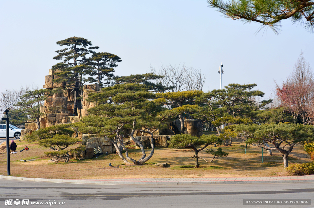 公园景点假山迎客松