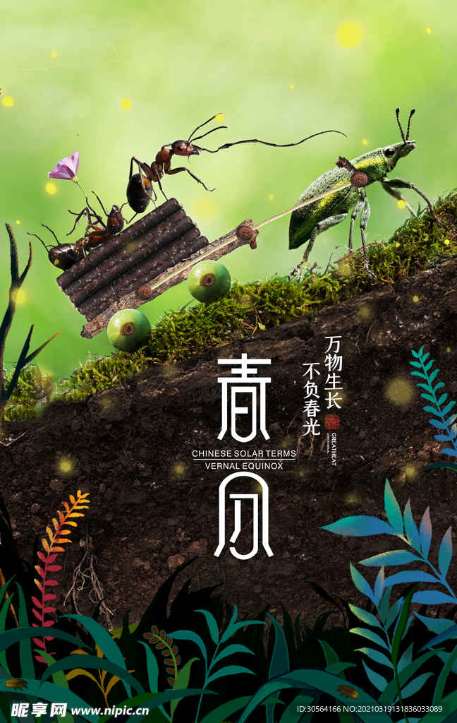 春分节气传统活动宣传海报素材