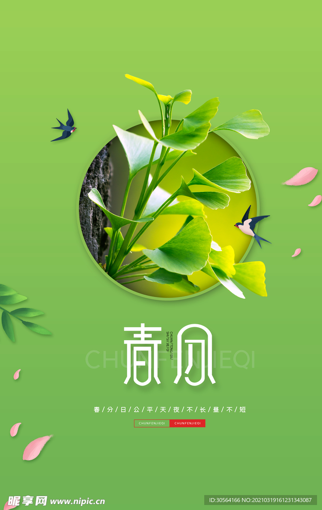 春分节气传统活动宣传海报素材