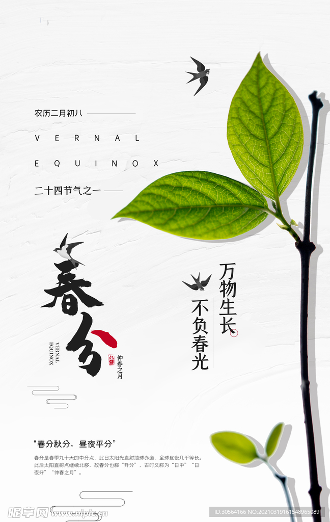 春分节气传统活动宣传海报素材