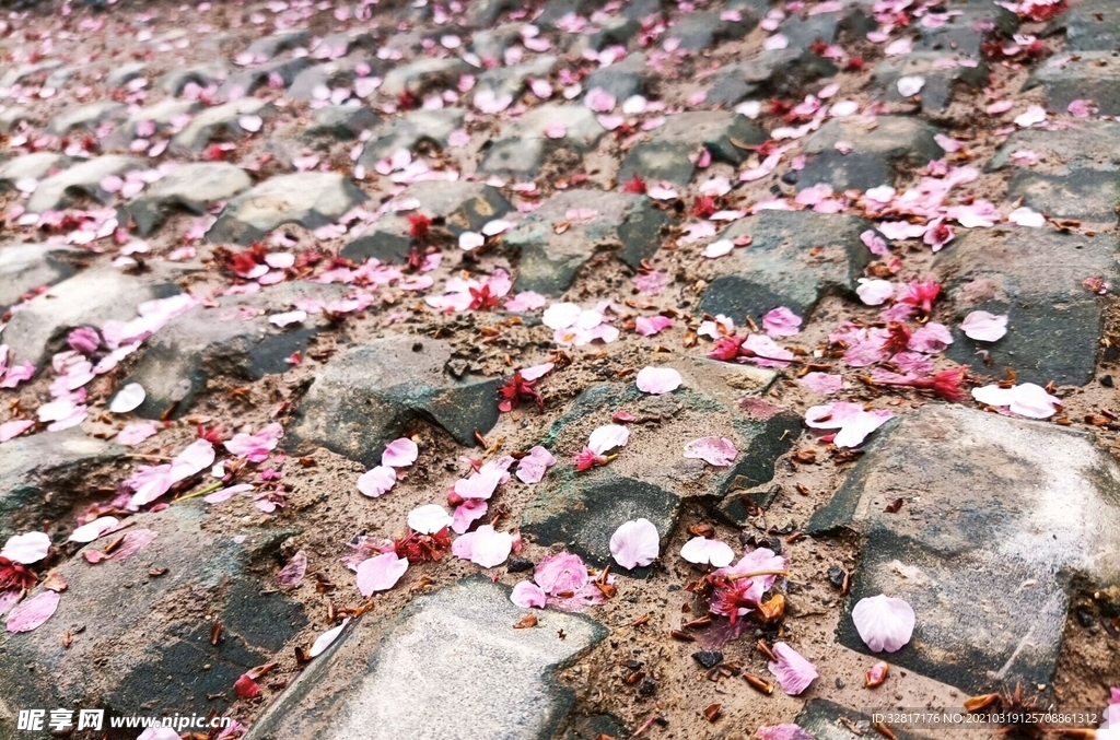 落花