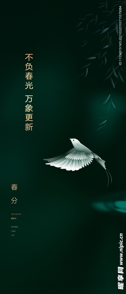 春分节气海报