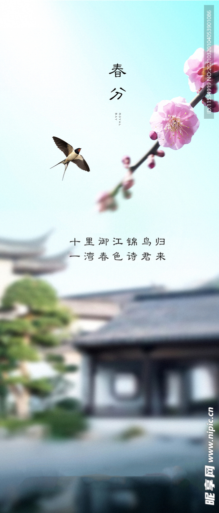 春分节气海报