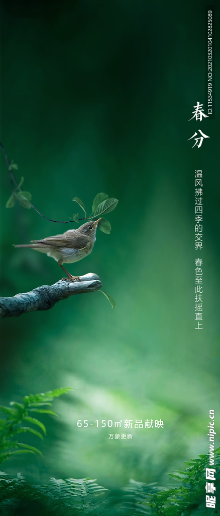 春分节气海报