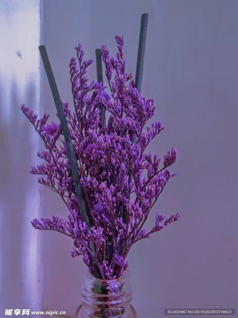 紫色花