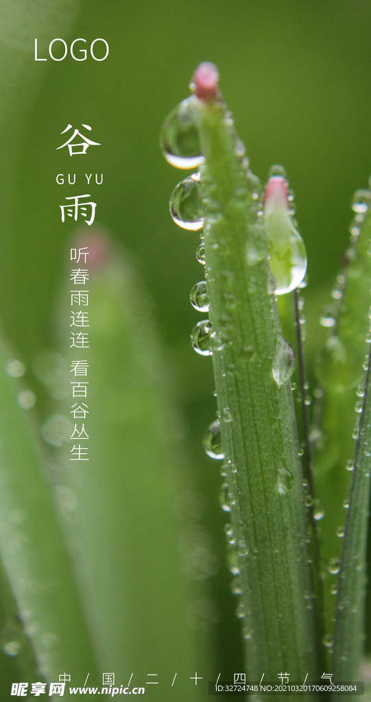 谷雨