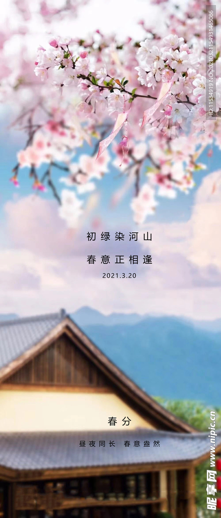 春分节气海报