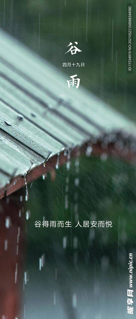 谷雨节气海报