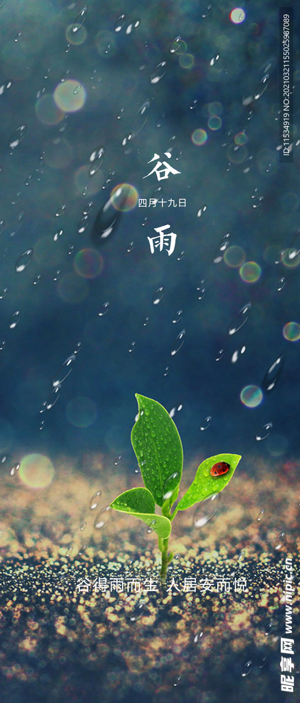 谷雨节气海报