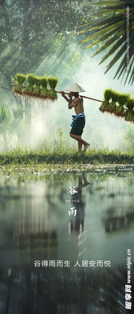 谷雨节气海报