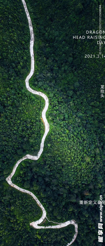 龙抬头海报