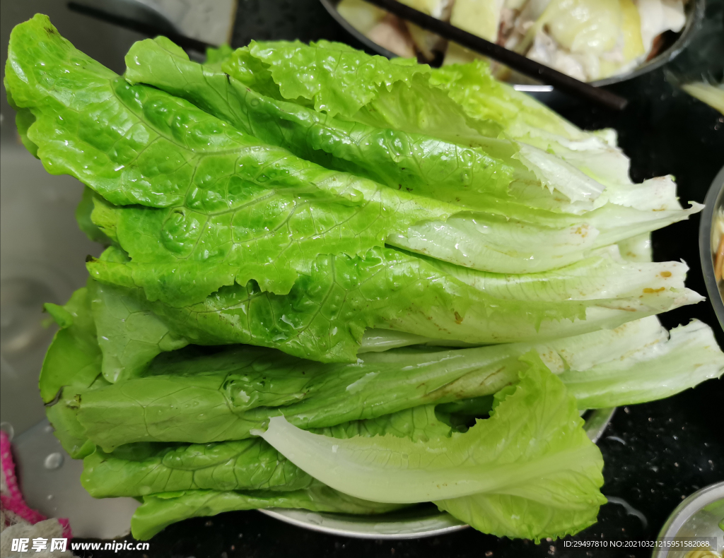 生菜