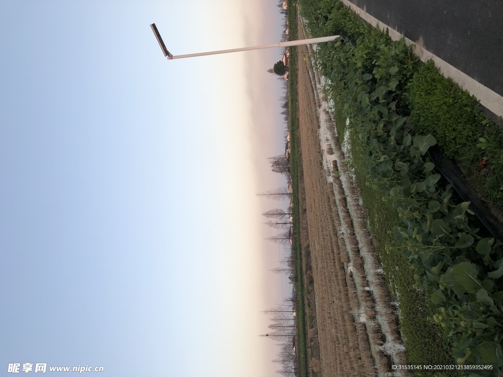 傍晚乡村田野的路边