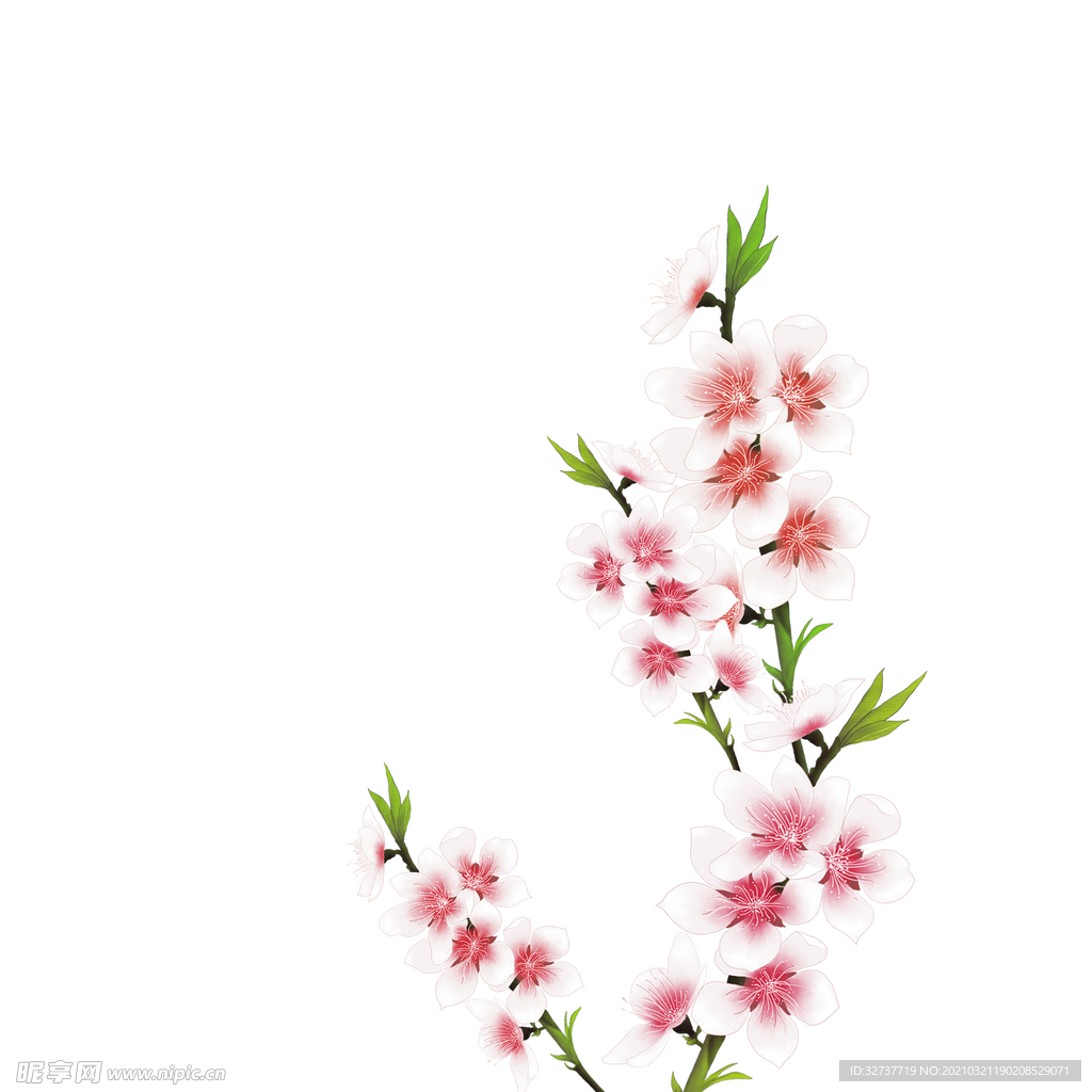 花朵装饰元素