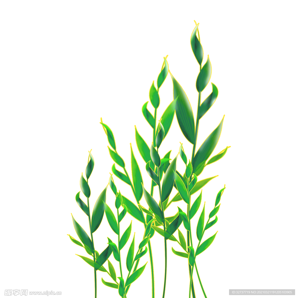 植物装饰叶子元素