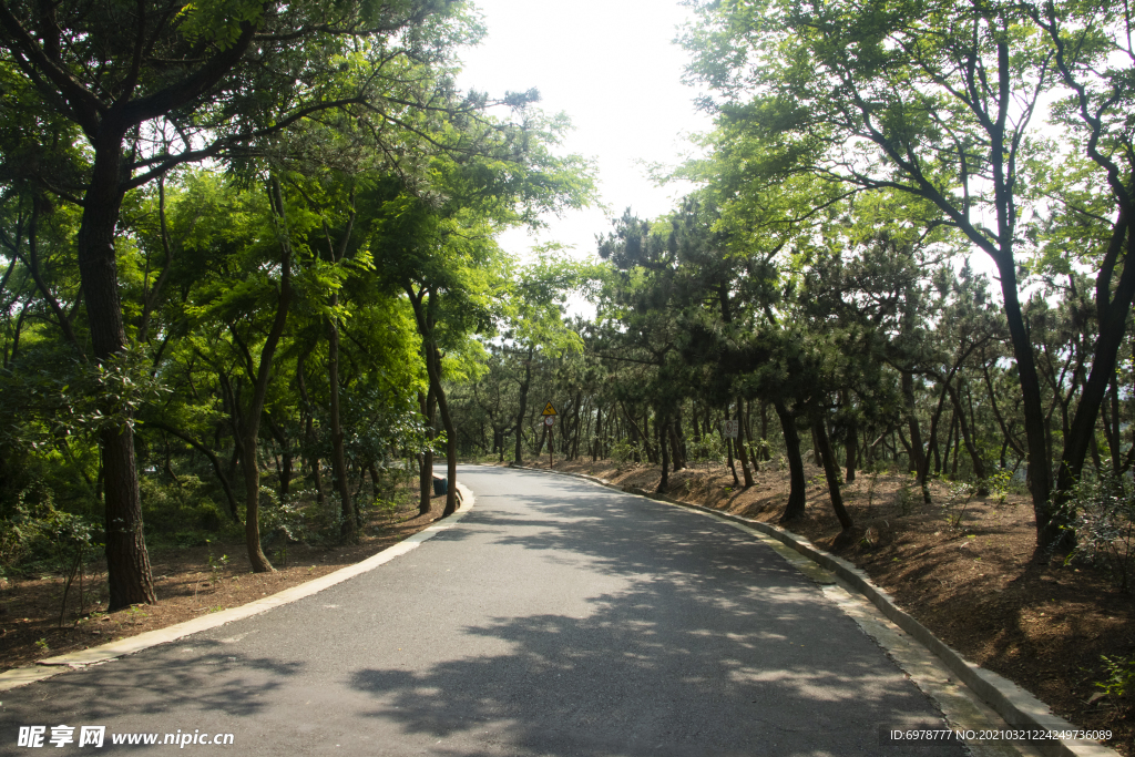 山路