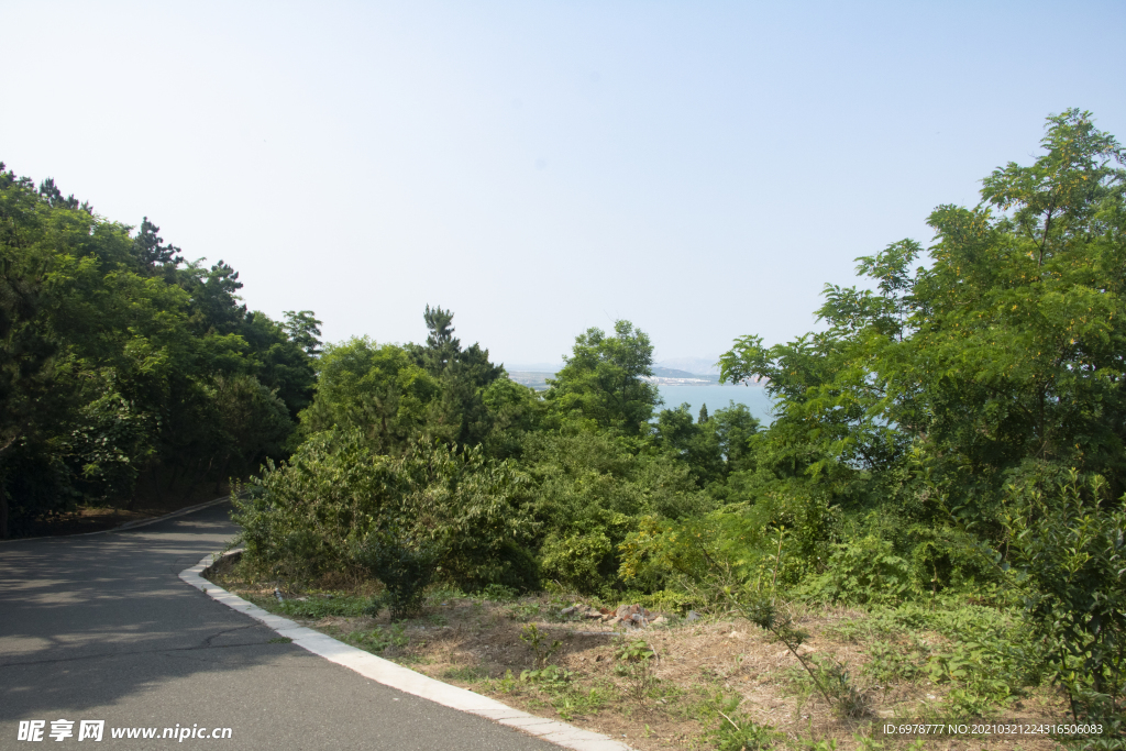 山路