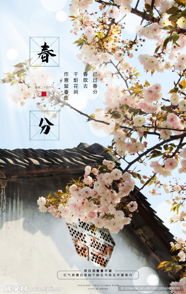 春分节气传统活动宣传海报素材