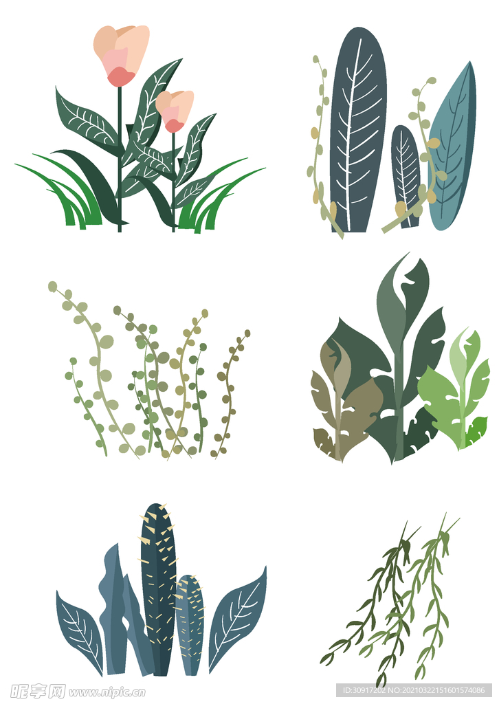 植物