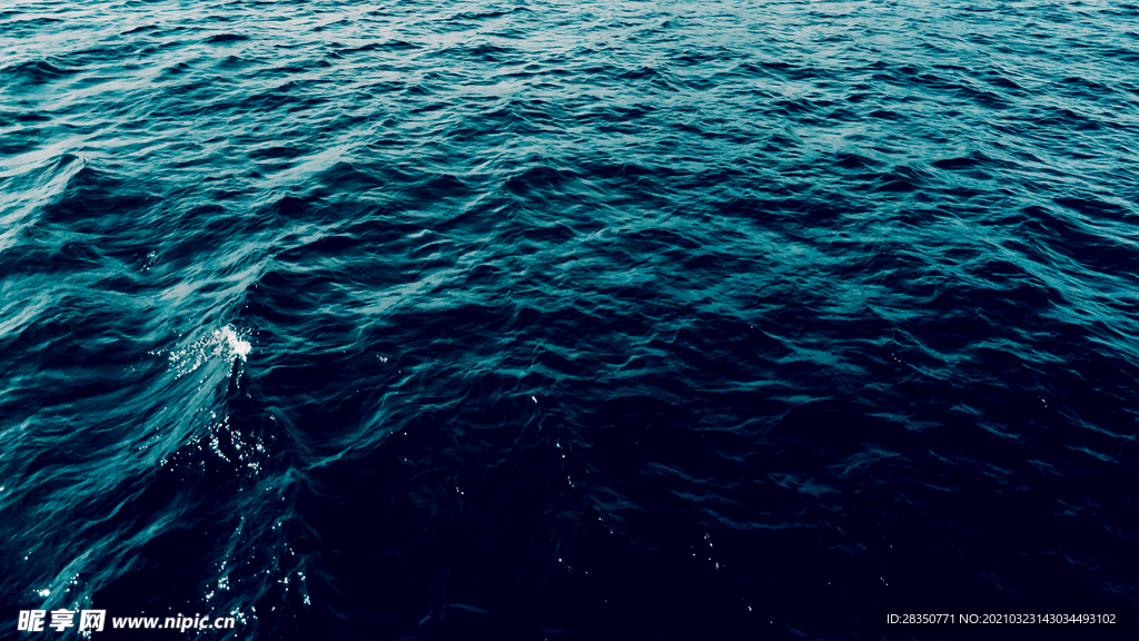 海