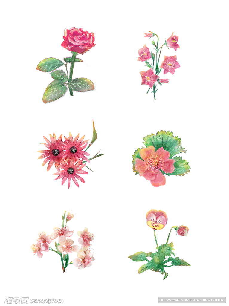 鲜花