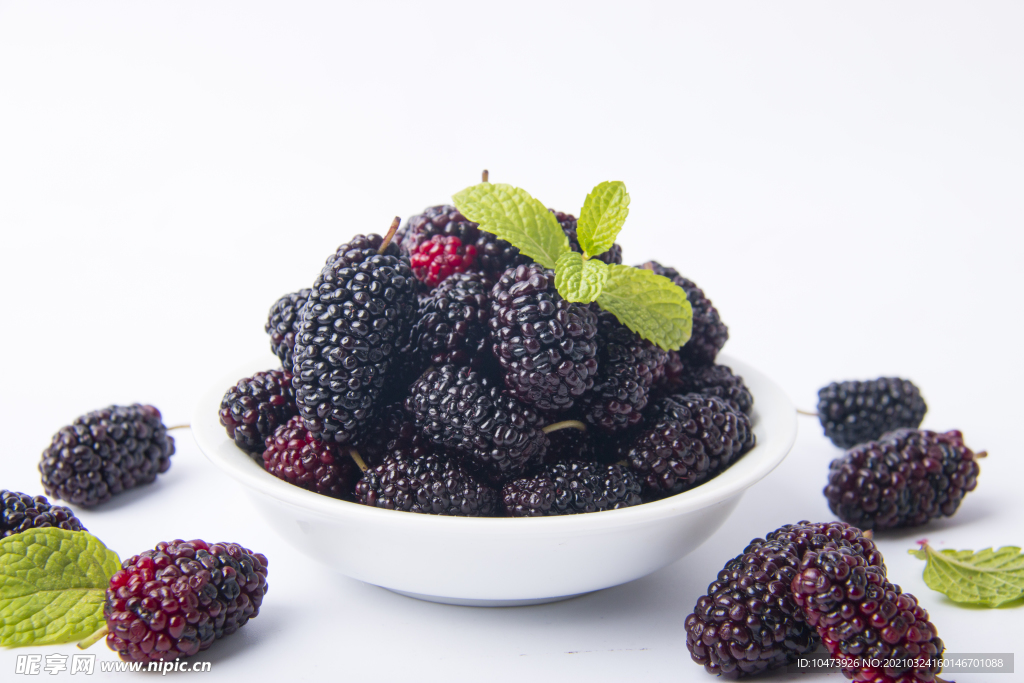 新鲜野生桑葚图片