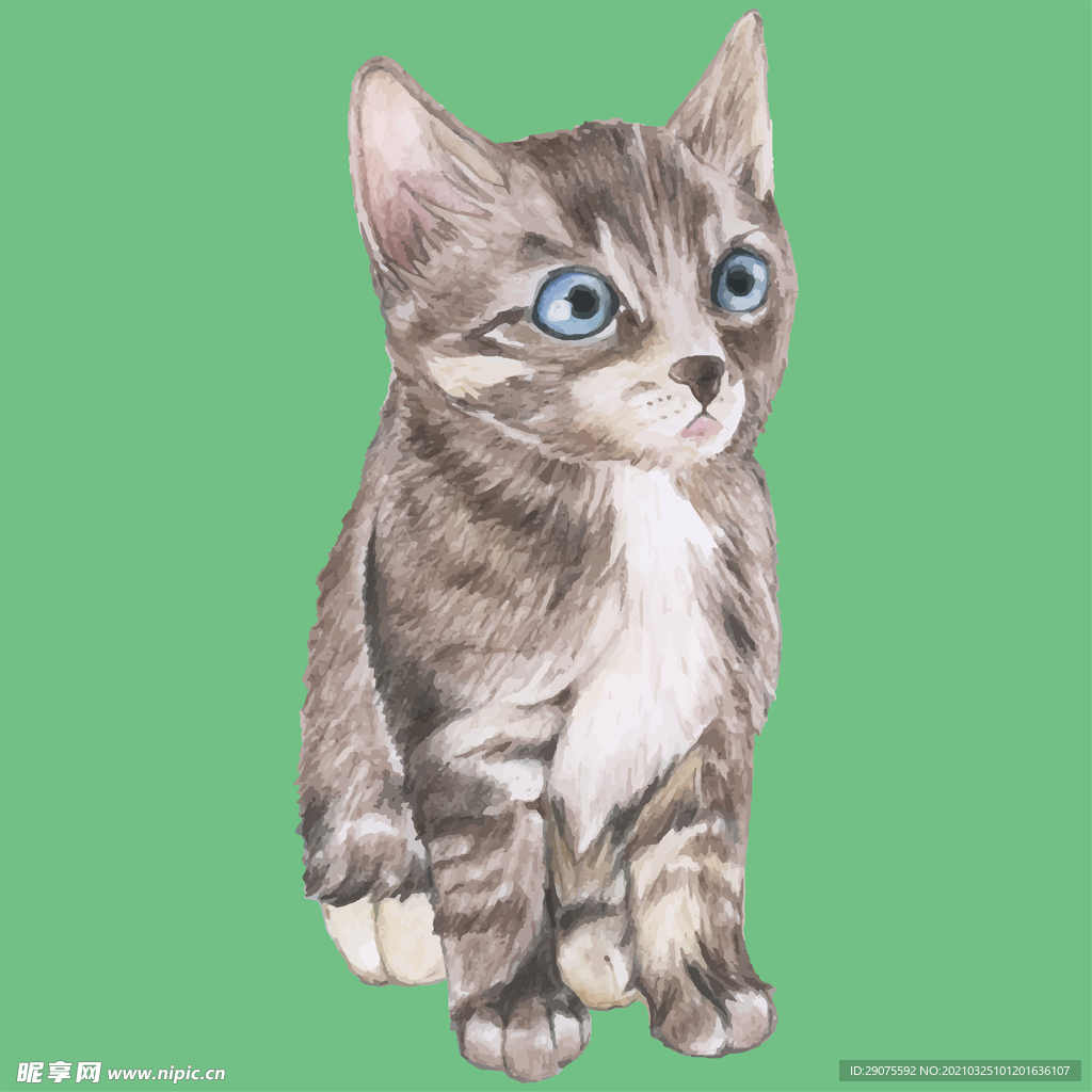 卡通小猫