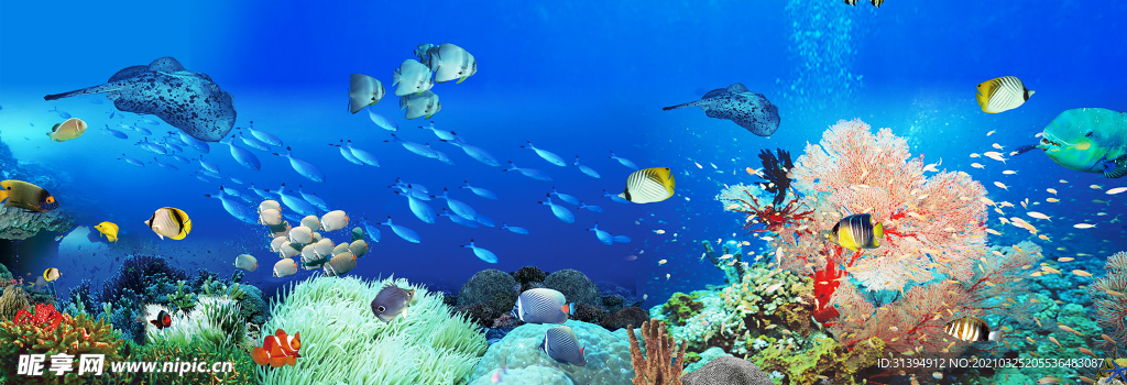 海底世界