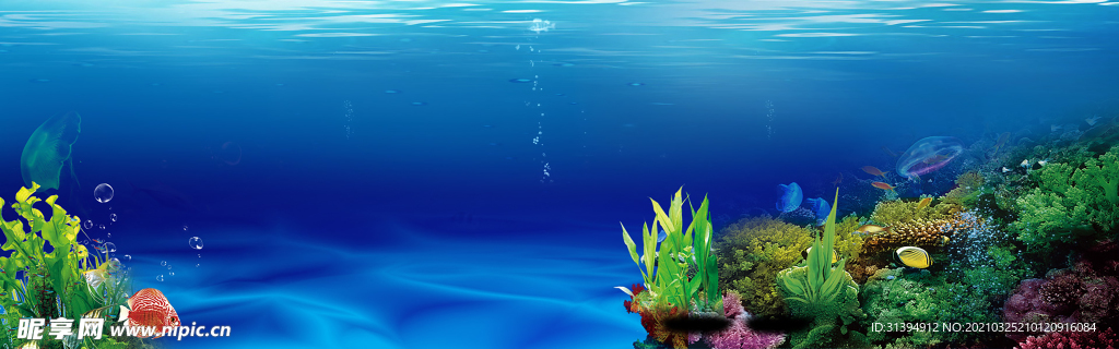 海底世界