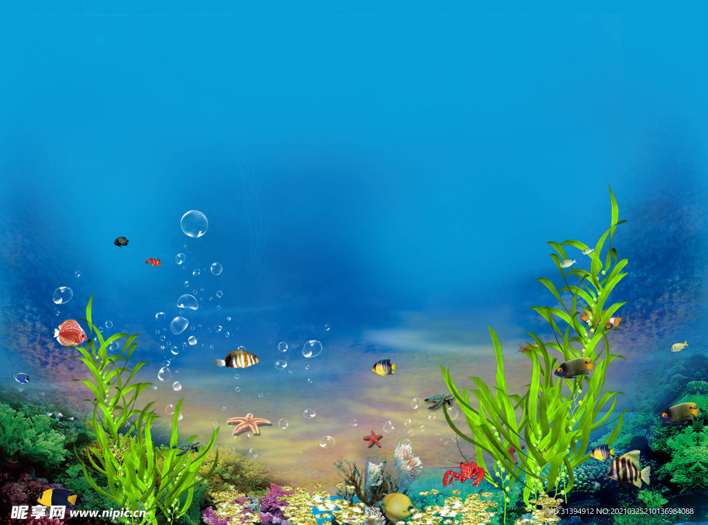 海底世界