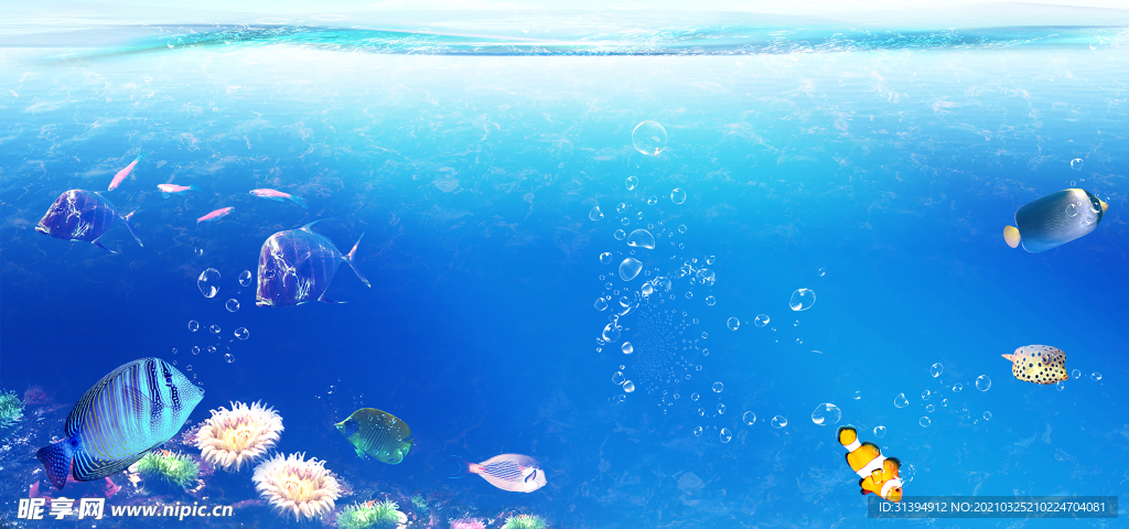 海底世界