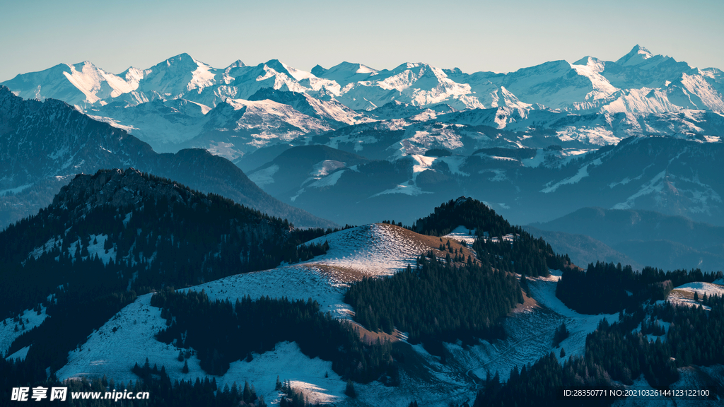 山