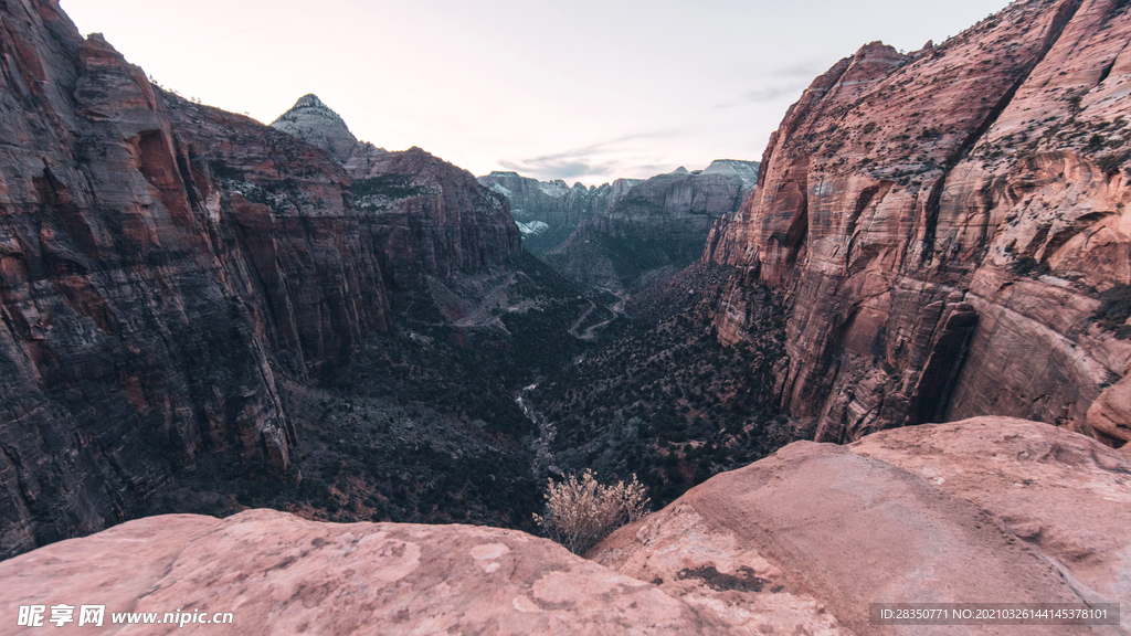 山