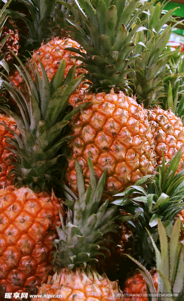 菠萝