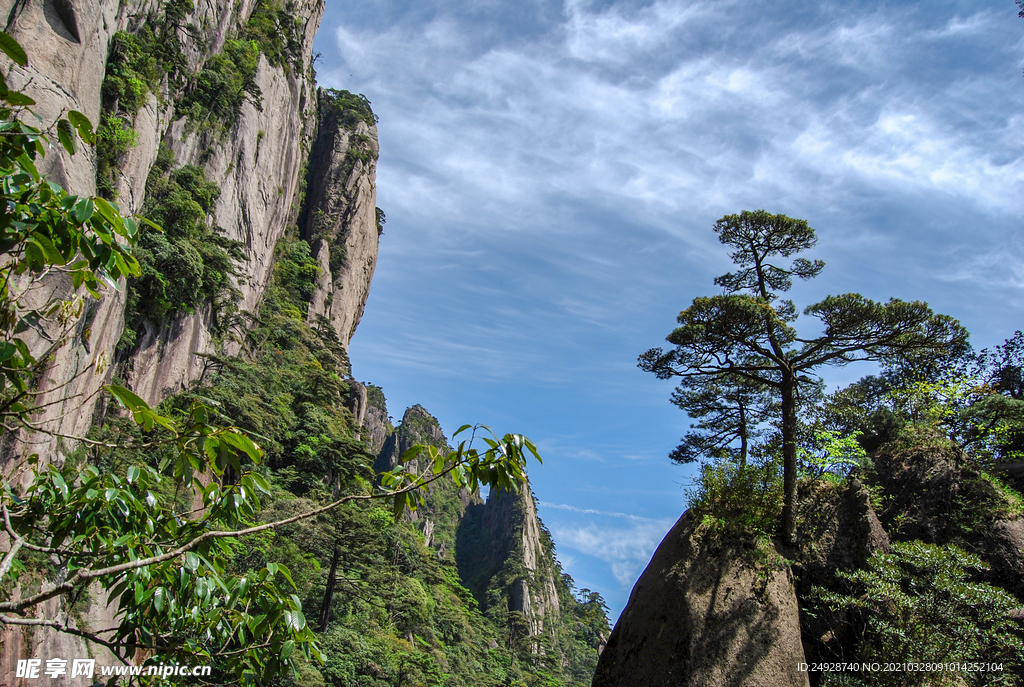 山青山