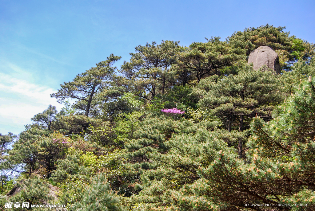 山青山