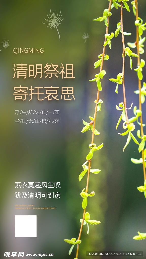 清新简洁中国风清明摄影图海报
