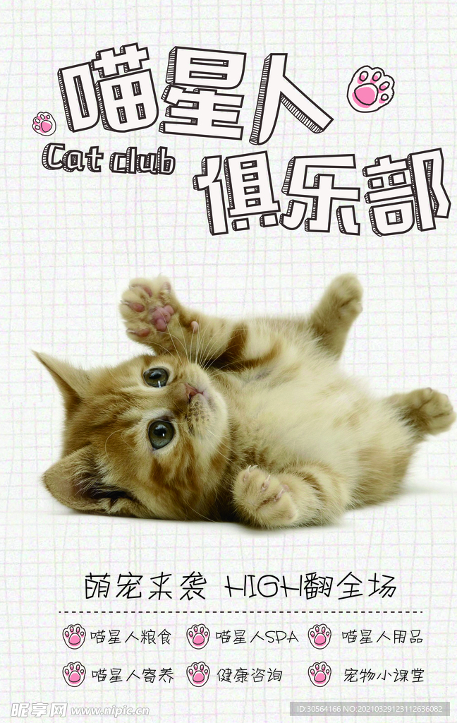 猫星人俱乐部活动宣传海报素材