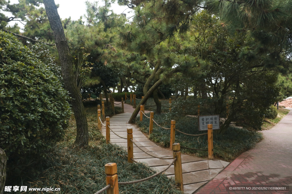 海边小路