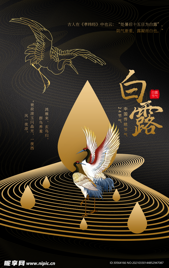 白露节气传统活动宣传海报素材