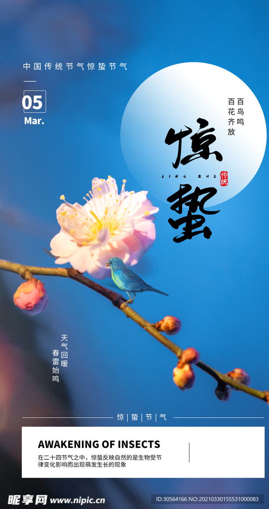 惊蛰节气传统活动宣传海报素材