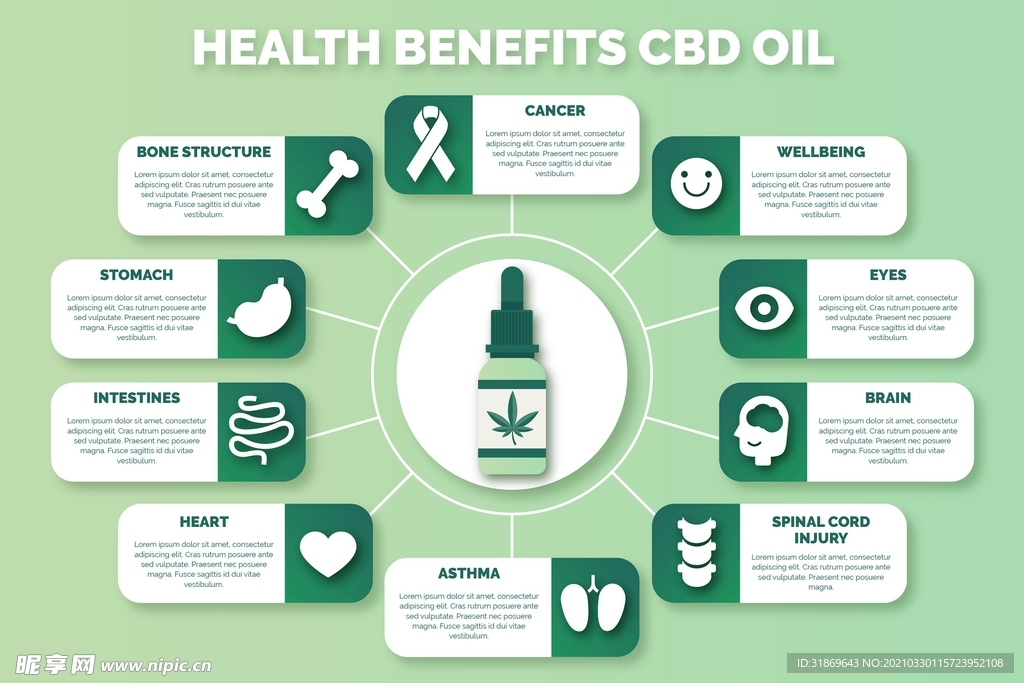 信息图模板 流程