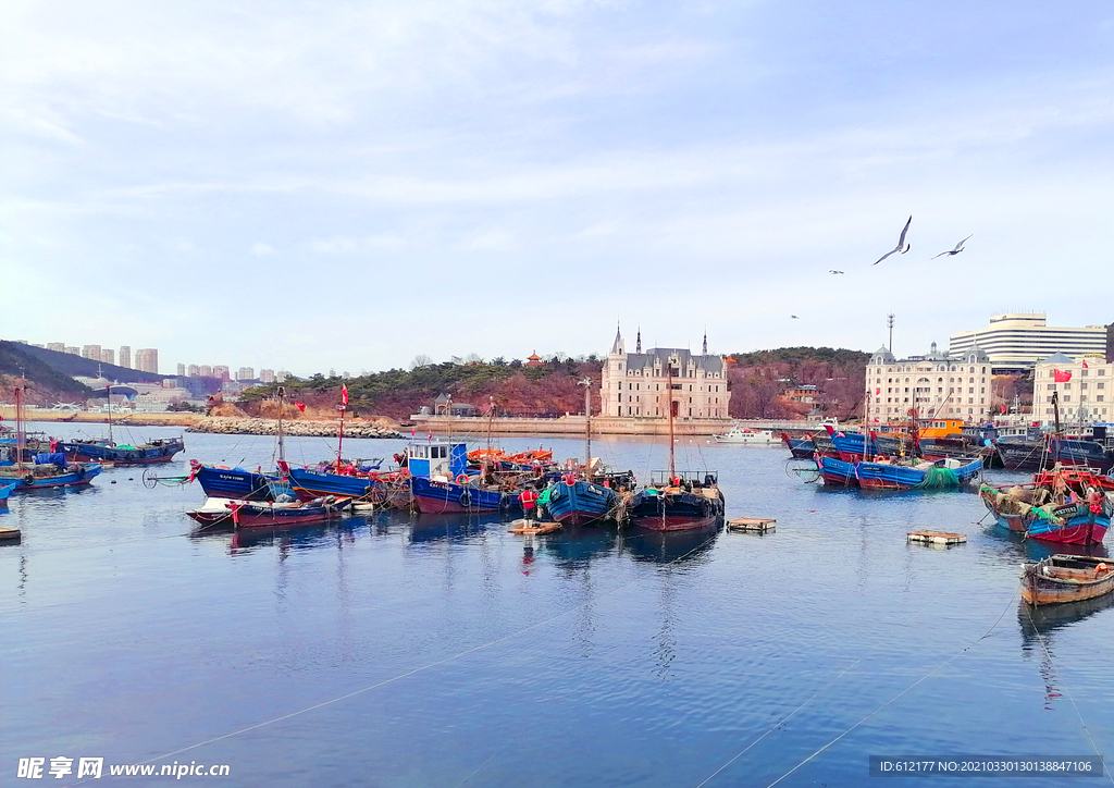 大连渔人码头渔港停泊的渔船