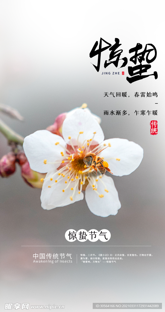 惊蛰节气传统活动宣传海报素材