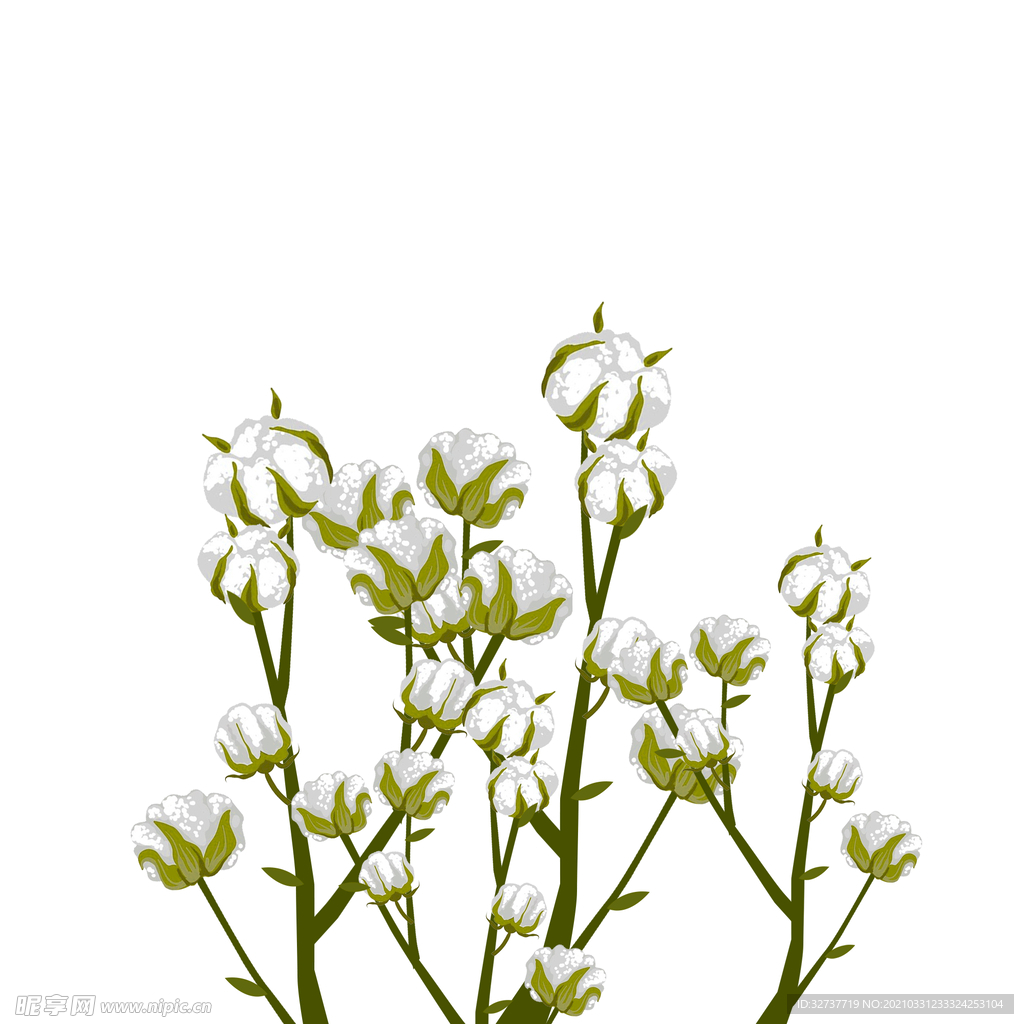 绿色装饰植物