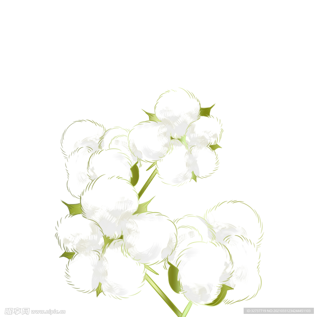 植物装饰棉花元素