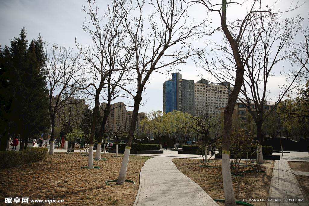 城市公园
