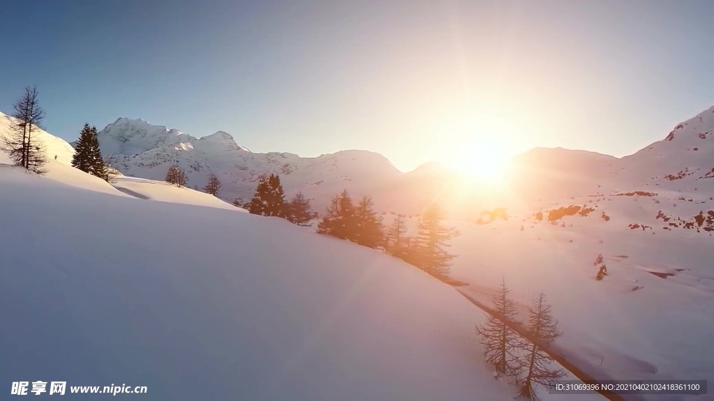 短视频素材冬季日光雪山树林