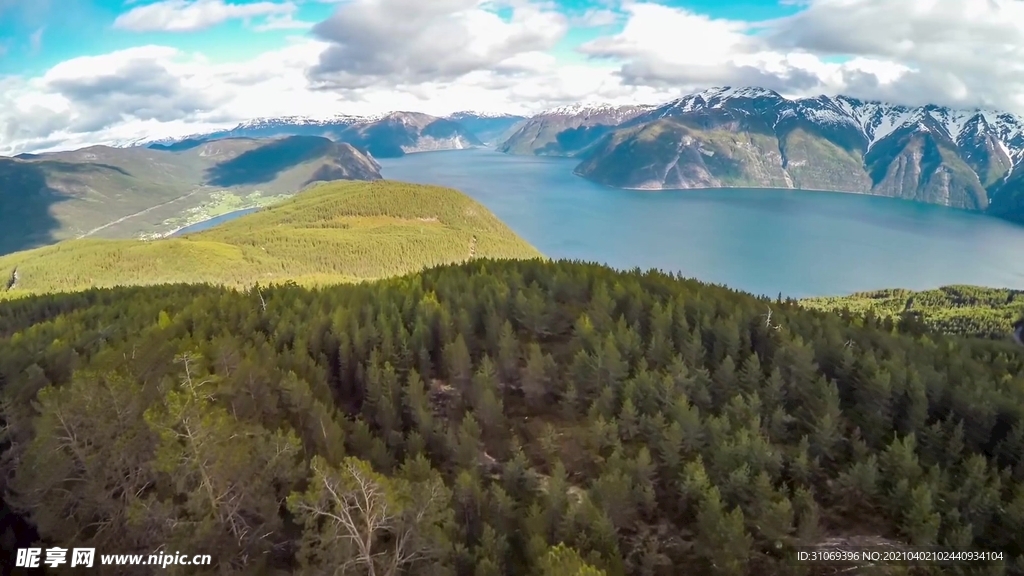 航拍森林河流远山